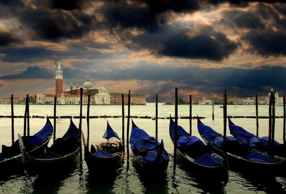 За время карантина каналы в Венеции стали прозрачными