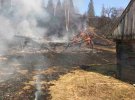 Біля нацпарку  "Синевир" Закарпатської області виникла масштабна пожежа внаслідок спалювання сухої трави
