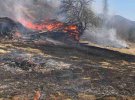 Возле  нацпарка "Синевир" Закарпатской области возник крупный пожар в результате сжигания сухой травы