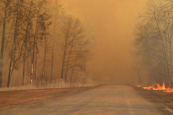 Пожар в Чернобыльской зоне началась еще 4 апреля. Тремя самолетами и тремя вертолетами 10 апреля сбросили 240 т воды. В некоторых местах до сих пор горят болота и лесной настил.