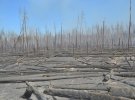 Пожар в Чернобыльской зоне началась еще 4 апреля. Тремя самолетами и тремя вертолетами 10 апреля сбросили 240 т воды. В некоторых местах до сих пор горят болота и лесной настил.