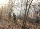 Пожар в Чернобыльской зоне началась еще 4 апреля. Тремя самолетами и тремя вертолетами 10 апреля сбросили 240 т воды. В некоторых местах до сих пор горят болота и лесной настил.