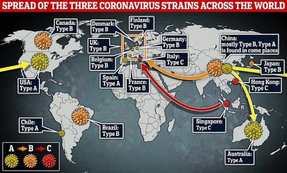 Штаммы коронавируса