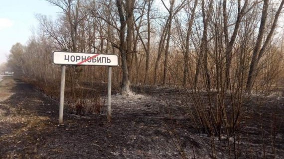 Спасатели продолжают бороться с огнем и Чернобыльской зоне