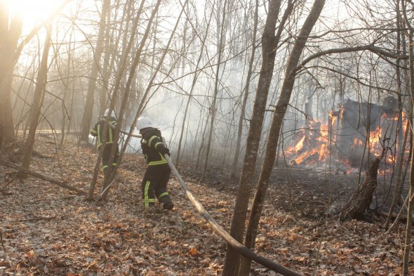 Пожежу під Чорнобилем не можуть загасити 10 днів