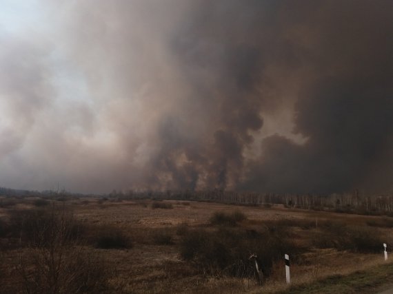 Пожары в екостстимах в зоне ЧАЭС - дело человеческой халатности