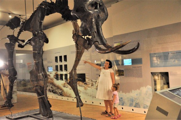 Выставки "Ледниковая эпоха: Возвращение мамонта во Львов" и "Симфония жизни" можно посмотреть в виртуальном туре львовским музеем 