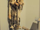 Виставки "Льодовикова епоха: Повернення мамута до Львова" та "Симфонія життя" можна переглянути у віртуальному турі музеєм
