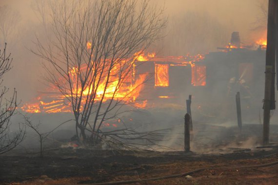 На Житомирщині не припиняються пожежі