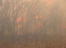 На Житомирщині не припиняються пожежі