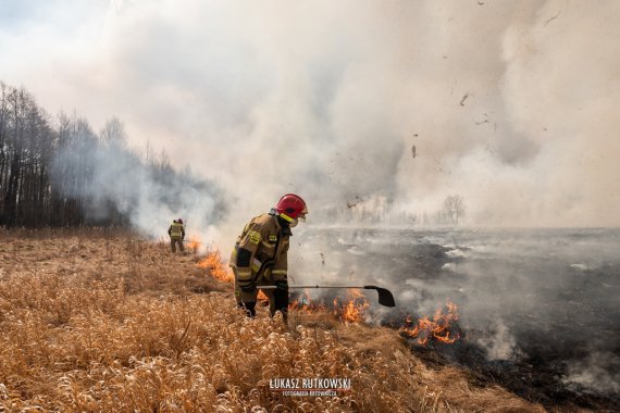 Пожежа охопили ділянку площею 3 тис. га
