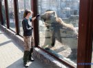 Мешканців зоопарку дивує відсутність відвідувачів через карантин