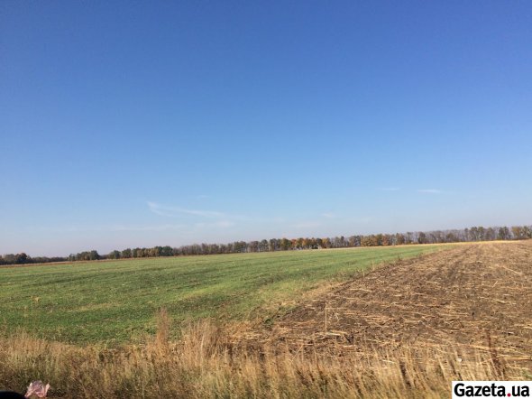 Мораторій на ринок землі діяв із 2001 року