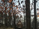 Дом в лесу построили из отходов