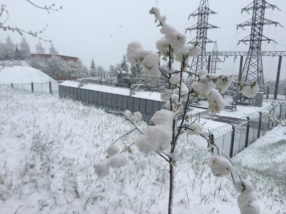 В Карпатах сьогодні сніг та хуртовини