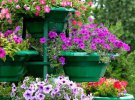 Цветник 2020: как правильно расставить горшки в саду