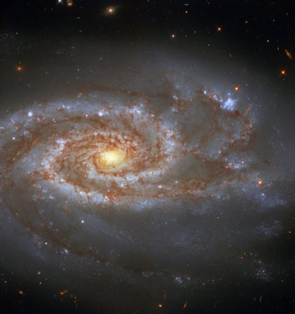 Спиральная галактика NGC 5861
