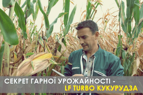 Специалисты "АгроТОрга" рекомендуют подкармливать площади под кукурузой нанитами