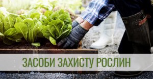 Сайт sezon.com.ua предлагает только оригинальные и проверенные средства защиты