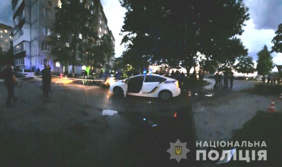 В Вараше патрульные подстрелили собаку, которая на них набросилась, и ранили ее хозяина