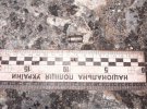 У Вараші патрульні підстрелили пса, який на них накинувся, та поранили його господаря