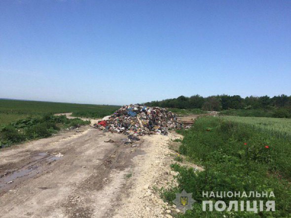 Використані пробірки для тестування   Covid-19  знайшли серед 20 тонн побутового сміття біля селища Демидівка Рівненської області