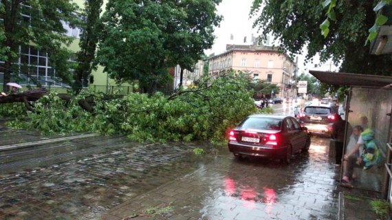 Ливень с градом затопил многие улицы города и повалил деревья