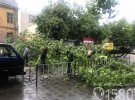 Ливень с градом затопил многие улицы города и повалил деревья