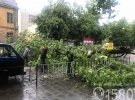 Злива з градом затопила чимало вулиць міста та повалила дерева