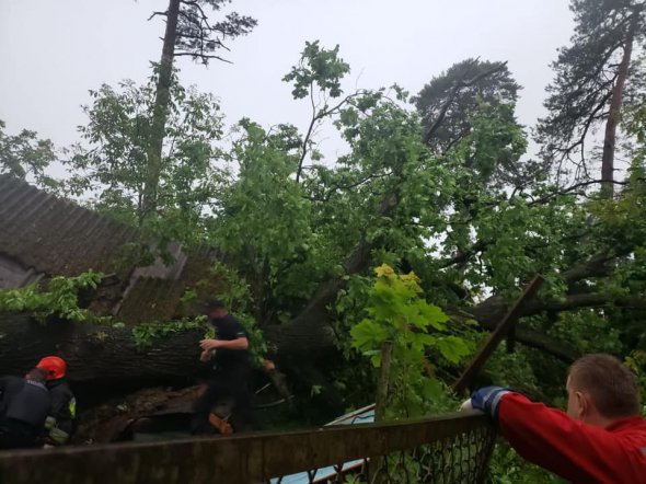 Жінка була в будинку, коли на нього рухнуло дерево