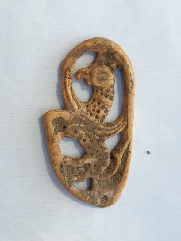 На Сумщині виявили кістяного грифона