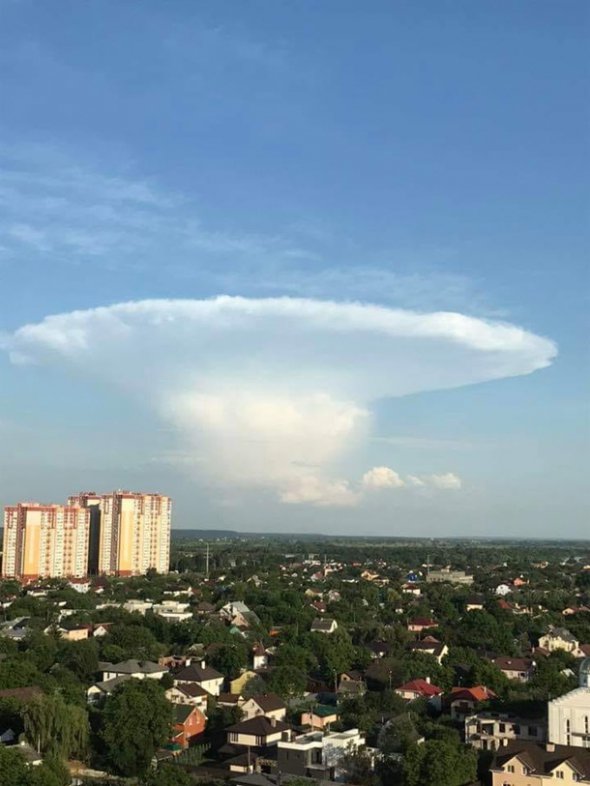 У небі над Києвом помітили хмару у формі гриба. Фото: facebook.com/natasha.prima