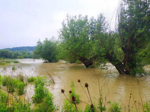 Затопило село возле Черновцов