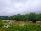 Затопило село біля Чернівців