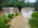 Затопило село біля Чернівців