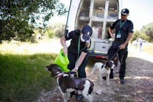 Офіцер британського Скотланд-Ярду ллє воду на собаку через спеку під час пошуків Меделайн Маккейн у Прая да Луш в Португалії 2014-го. Британські експерти приїжджали туди кілька разів, коли вважали, що мають нові зачіпки