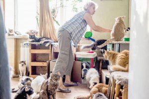 Тетяна Литвиненко у своїй квартирі в Києві відкрила притулок для тварин. В одній кімнаті живуть 60 котів, у другій — семеро собак
