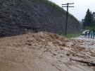 Велика вода на Прикарпатті затопила будинки, сільськогосподарські угіддя та знищила дороги