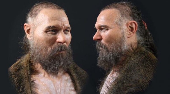 Ученые сделали трехмерную реконструкцию черепа без челюстей древнего человека каменного века