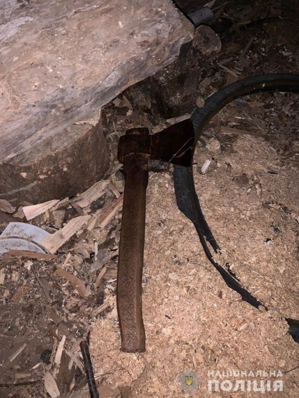 Жінка навідріз відмовилася впускати в дім нетверезого родича. Чоловік заліз через вікно і вдарив жінку сокирою