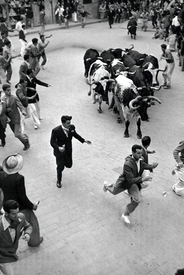 Чоловіки тікають від биків у іспанському місті Памплона 7 липня 1947-го. Із XIII ст. там щороку влаштовують фестиваль на честь святого Ферміна. Триває тиждень. Основна подія – забіг биків міськими вулицями. Щоранку шестеро тварин випускають. Вони прямують до площі Ернеста Гемінґвея 849 м. Поруч дозволяють бігти всім охочим, щоб перевірити хоробрість. Глядачі спостерігають із балконів. Щороку від бичачих рогів і копит гинуть до 15 сміливців