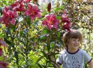 Цветник 2020: лилейных дерево вырастает выше человеческого роста