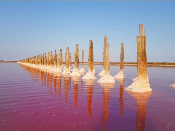 Розовое Лемурийское озеро на Херсонщине