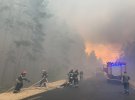 На Луганщине спасатели гасят крупный лесной пожар