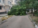 В Одесі негода повалила 63 дерева