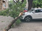 В Одессе ненастье свалило 63 дерева