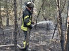 Лісова пожежа на Луганщині спалахнула 6 липня в лісовому масиві і підібралася до селищ