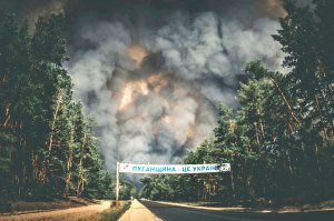 Ліс у Новоайдарському районі Луганської області загорівся у спекотну й вітряну погоду. Через це полум’я швидко поширилося та перекинулося на довколишні села