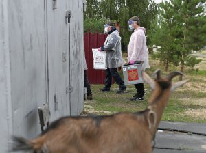 Члени виборчої комісії носили мобільну скриньку для бюлетенів у масках і щитах від коронавірусу під час семиденного загальнонаціонального голосування за зміни до російської конституції. 26 червня 2020 року, село Ніколаєвка Омської області, Росія