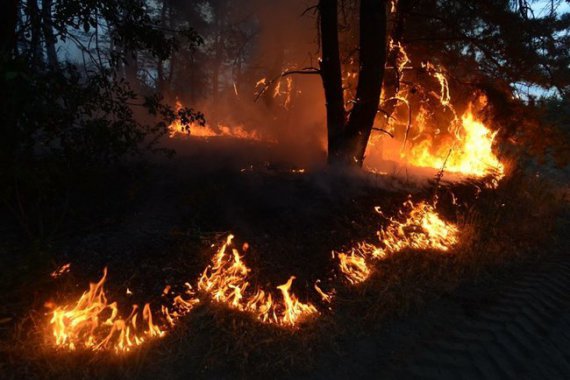 Военные тушили лесные пожары